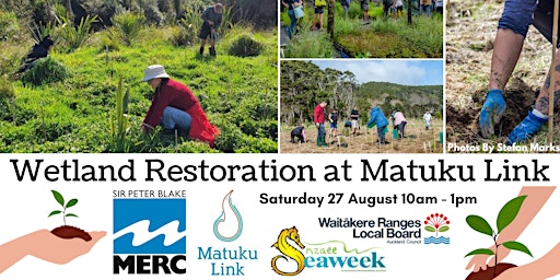 Wetland Restoration at Matuku Link