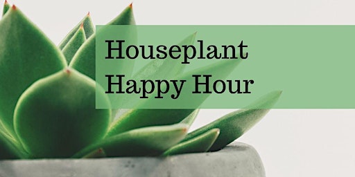 Houseplant Happy Hour