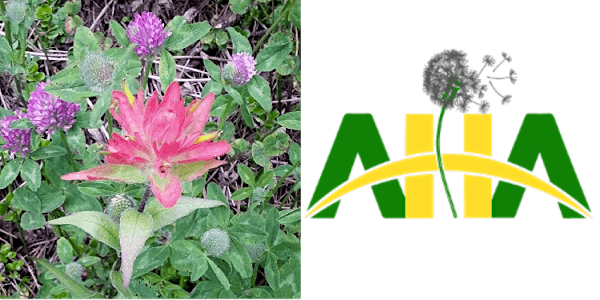 Plant Appreciation Picnic with the Alberta Herbalists Association