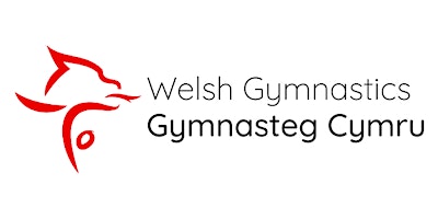 Welsh Gymnastics SUMMER ACTIVITY DAY