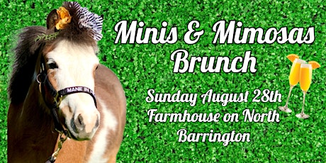 Minis & Mimosas Brunch