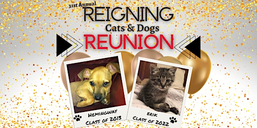 31st Annual Reigning Cats & Dogs: REUNION