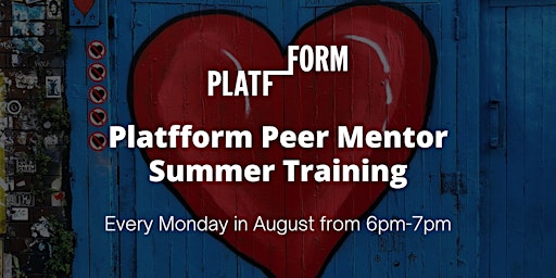 Plattform Peer Mentors Summer Training