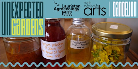 Herbal Oils and Balms Workshop on Thursday 11th August 6pm-8pm