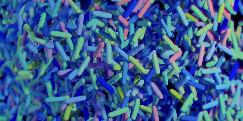 gut micro