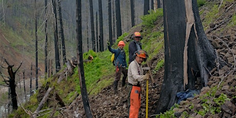 Clackamas River Tread Work and Drainage Trail Party (Fire Damaged)