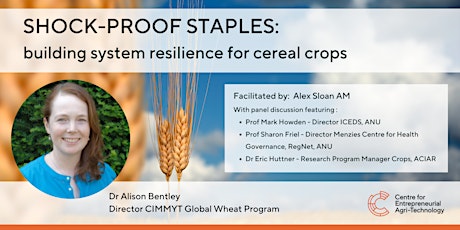 Shock-proof staples: building system resilience for cereal crops