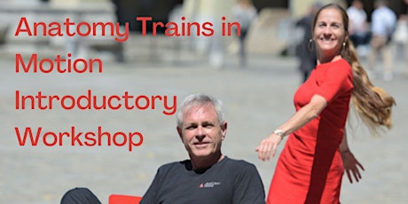 Immagine principale di Anatomy Trains in Motion Introductory Workshop 