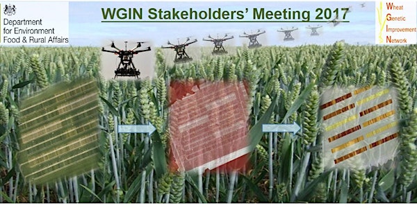 15th WGIN Stakeholders' Meeting