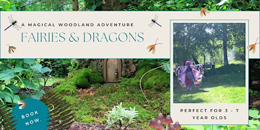 Fairies and Dragons, 20th August