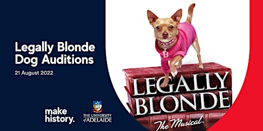 Legally Blonde - Dog Auditions
