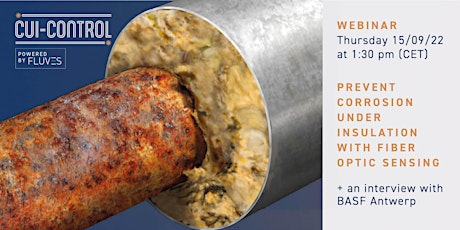 Primaire afbeelding van Prevent Corrosion Under Insulation on your pipelines with Fiber Optics