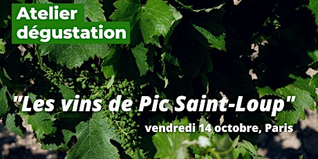 Dégustation des vins de Pic Saint-Loup