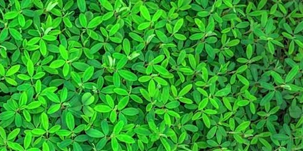 Cut Your Carbon Footprint - Workshop and Hackathon