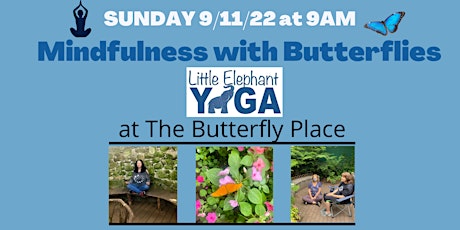 Mindfulness with Butterflies 9/11/22