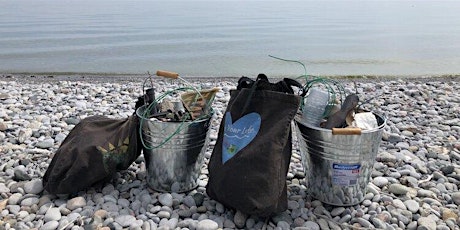 Love Your Lakes Cleanup at Waverly Beach, Fort Erie