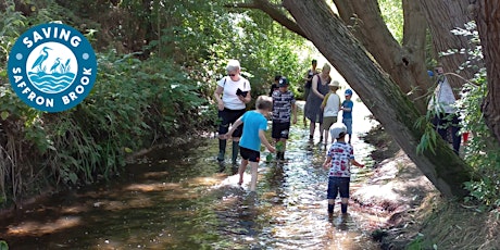 Nature Walk - what lives in the brook?
