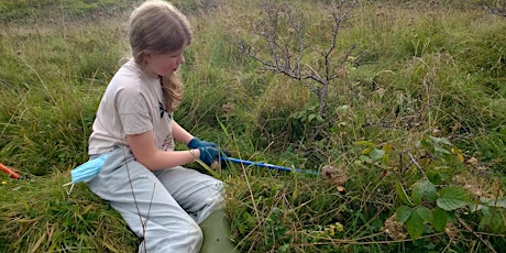 Practical Conservation Taster Day for Young People