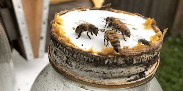 Fall 2022 Beginner Beekeeper's Short Course