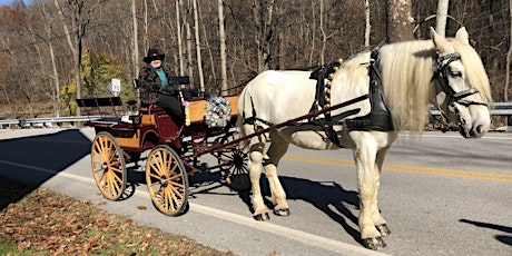 Carriage Rides - Holiday Open House Sat., November 12th