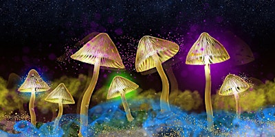 The Science of Psychedelics with Neuroscientist Maria Balaet