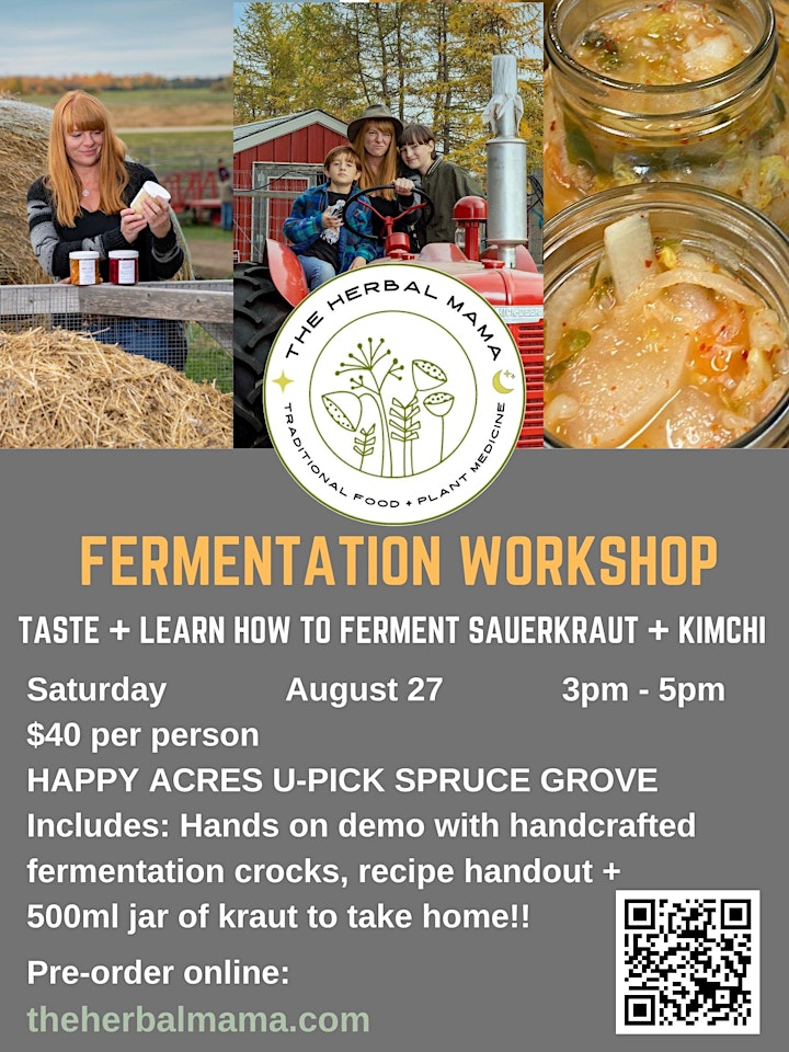 Fermentation Workshop with The Herbal Mama image