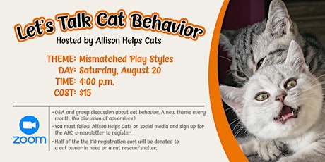 Let's Talk Cat Behavior: Mismatched Play Styles