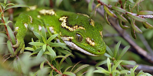 Conservation Genetics: New Tools to Preserve our Unique Wildlife