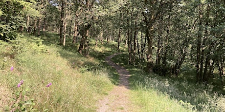 Forest Bathing - Cashel Forest Trust, Loch Lomond