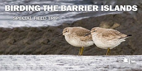 Birding on the Barrier Islands