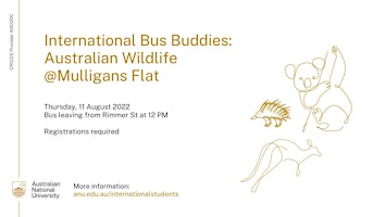 International Bus Buddies: Australian Wildlife at Mulligans Flat
