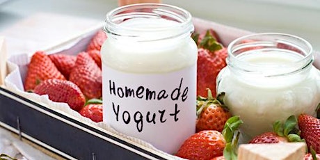 Skill Share Class - Yogurt Making primary image