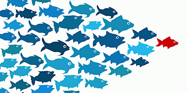Working with Business Data for Executives in SME Organisations