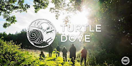 Turtle Dove Pilgrimage