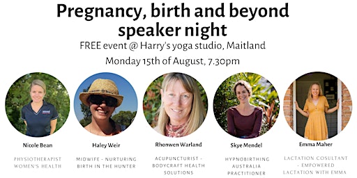 Pregnancy, birth and beyond speaker night