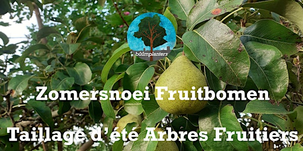 Workshop Zomersnoei Fruitbomen/Atelier taillage d'été arbres fruitiers