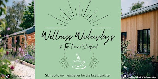 Coping with Stress + Burnout Wellness Workshop