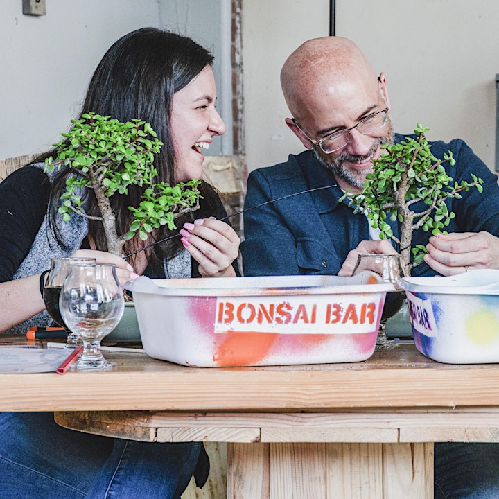 Bonsai Bar @ The Beacon Daily image