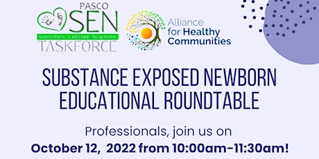 Substance Exposed Newborn Educational Roundtable