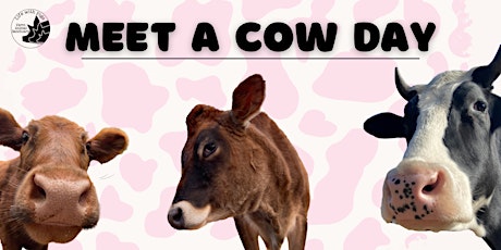 Meet a Cow Day