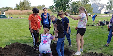Volunteer Tree Planting in Burnham