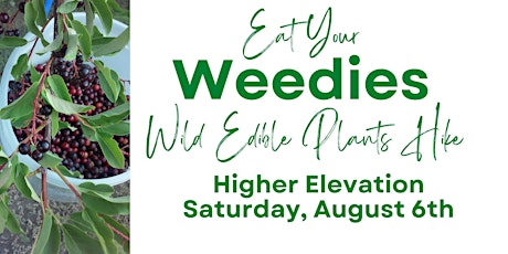 Eat your WEEDIES, Wild Edible Plants Hike - Higher Elevation - August 6th