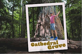 **PRIVATE TOUR** Ancient Forest Walk: Cathedral Grove's 800 Year Old Trees