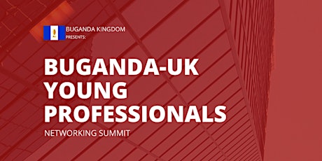 Buganda- UK Young Professionals Networking Summit