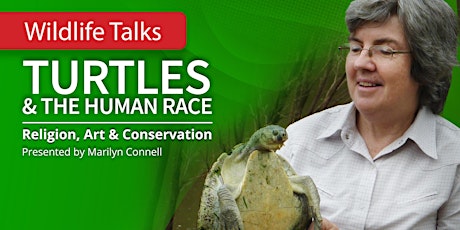 Wildlife Talk - Turtles  & The Human Race - Maryborough Library