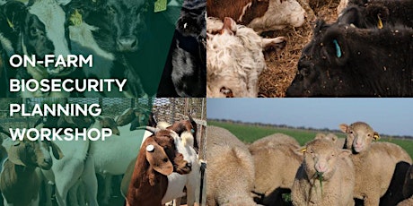 On-farm Biosecurity Planning Workshop - Hamilton