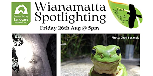 Spotlight for nocturnal creatures at Wianamatta Regional Park