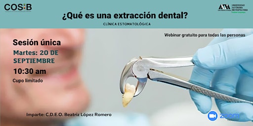 ¿Qué es una extracción dental?  primärbild