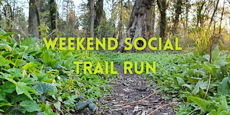 Weekend social trail run