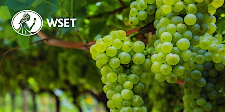Image principale de WSET Level 2 Award in Wines